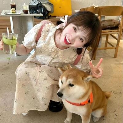 伴人而生